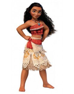 Prinsessen Moana Kostuum  Kinder Vaiana Kostuum Hawaii Kostuum 