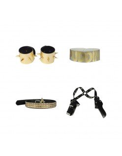 Suicide Squad Harley Quinn Accessoires